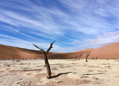 Sossusvlei