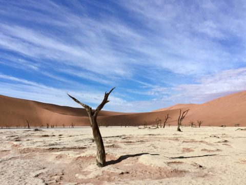 Sossusvlei